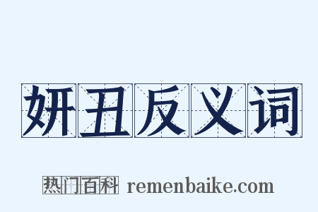 妍丑反义词是什么意思的图片